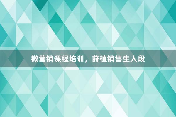 微营销课程培训,莳植销售生人段